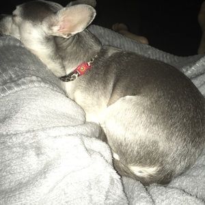 Meet your Posher, Alexandra